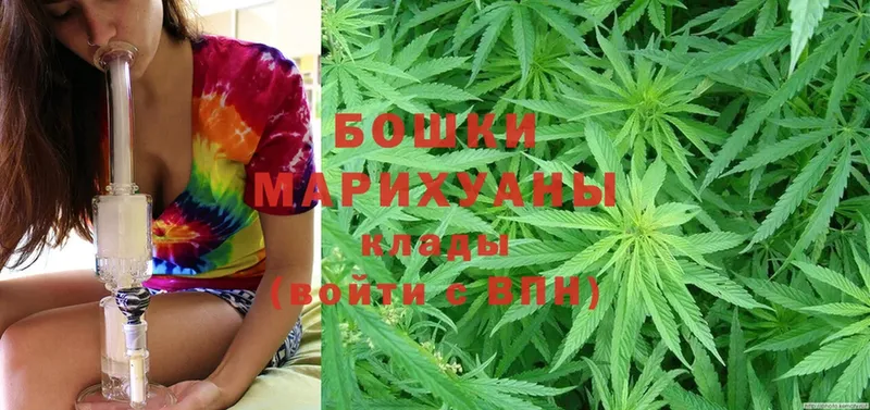 закладка  Белово  Конопля OG Kush 